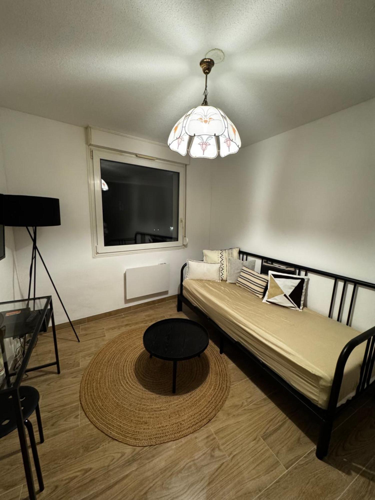Le Sarsour Appartement Strasbourg Centre المظهر الخارجي الصورة